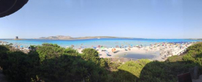 Stintino capo falcone vicinanze la pelosa